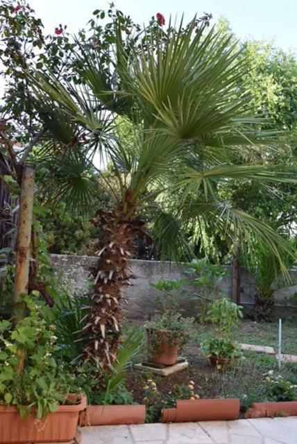 Apartman Kristina Διαμέρισμα Σπλιτ Εξωτερικό φωτογραφία
