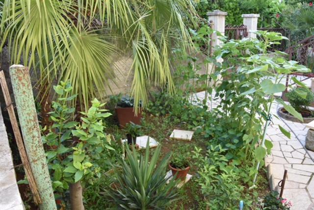 Apartman Kristina Διαμέρισμα Σπλιτ Εξωτερικό φωτογραφία